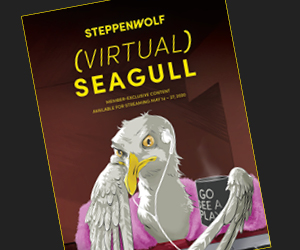 Virtual Seagull program